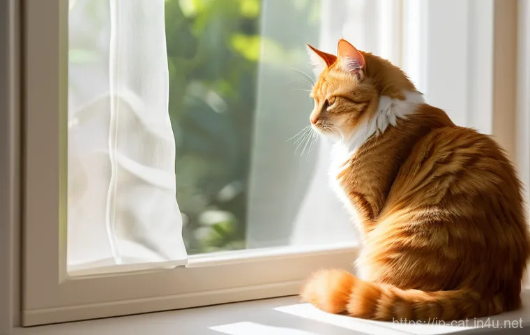 캣타워 디자인 추천 - **Prompt:** A serene, sun-drenched indoor scene featuring a fluffy ginger tabby cat peacefully loung...