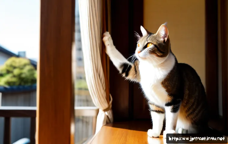 고양이 성격별 특징 - Photorealistic portrait of a confident, curious domestic cat standing on a sunlit wooden windowsill,...